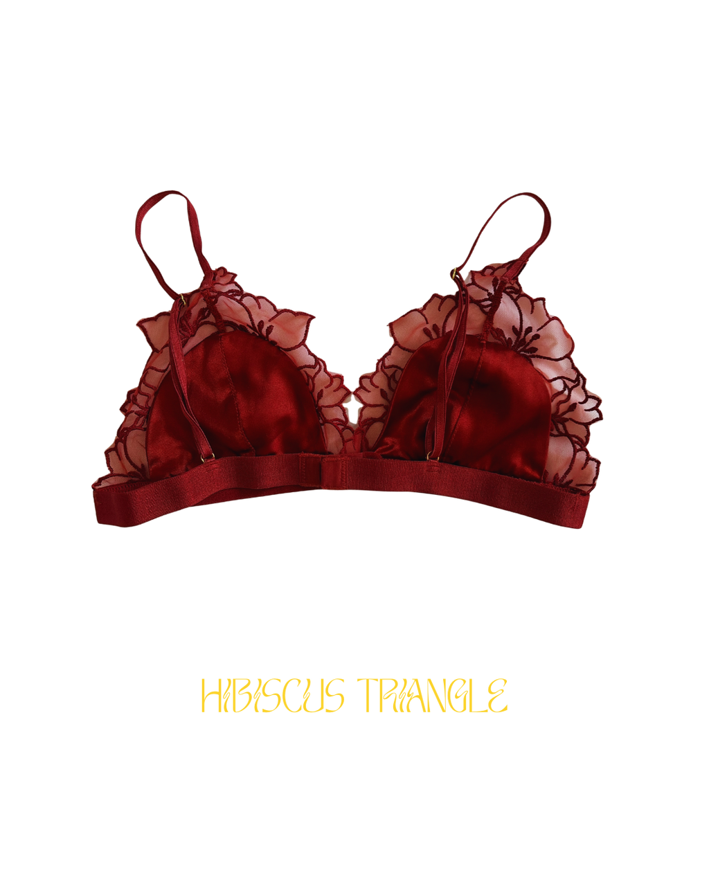 Ensemble HIBISCUS