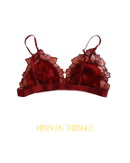Ensemble HIBISCUS