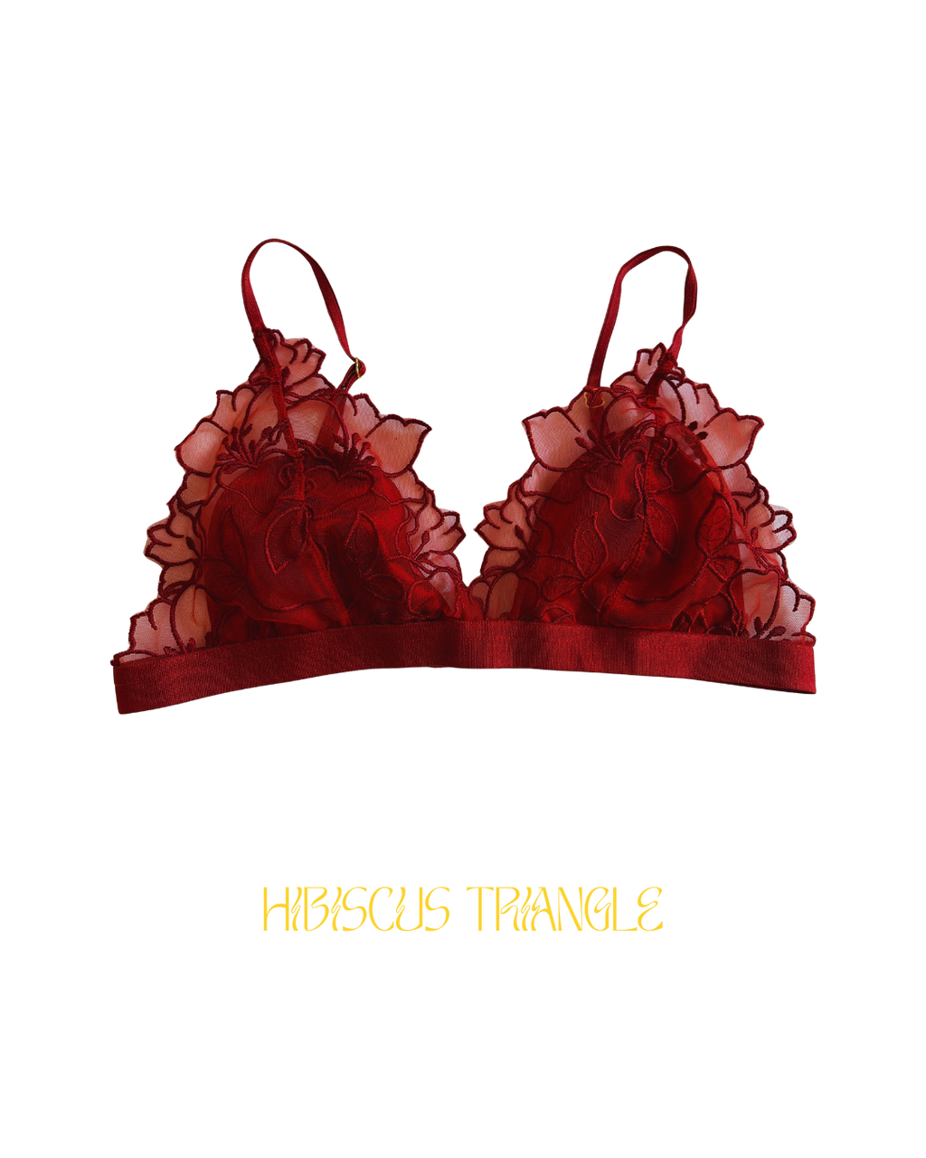 Ensemble HIBISCUS