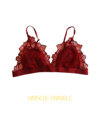 Ensemble HIBISCUS