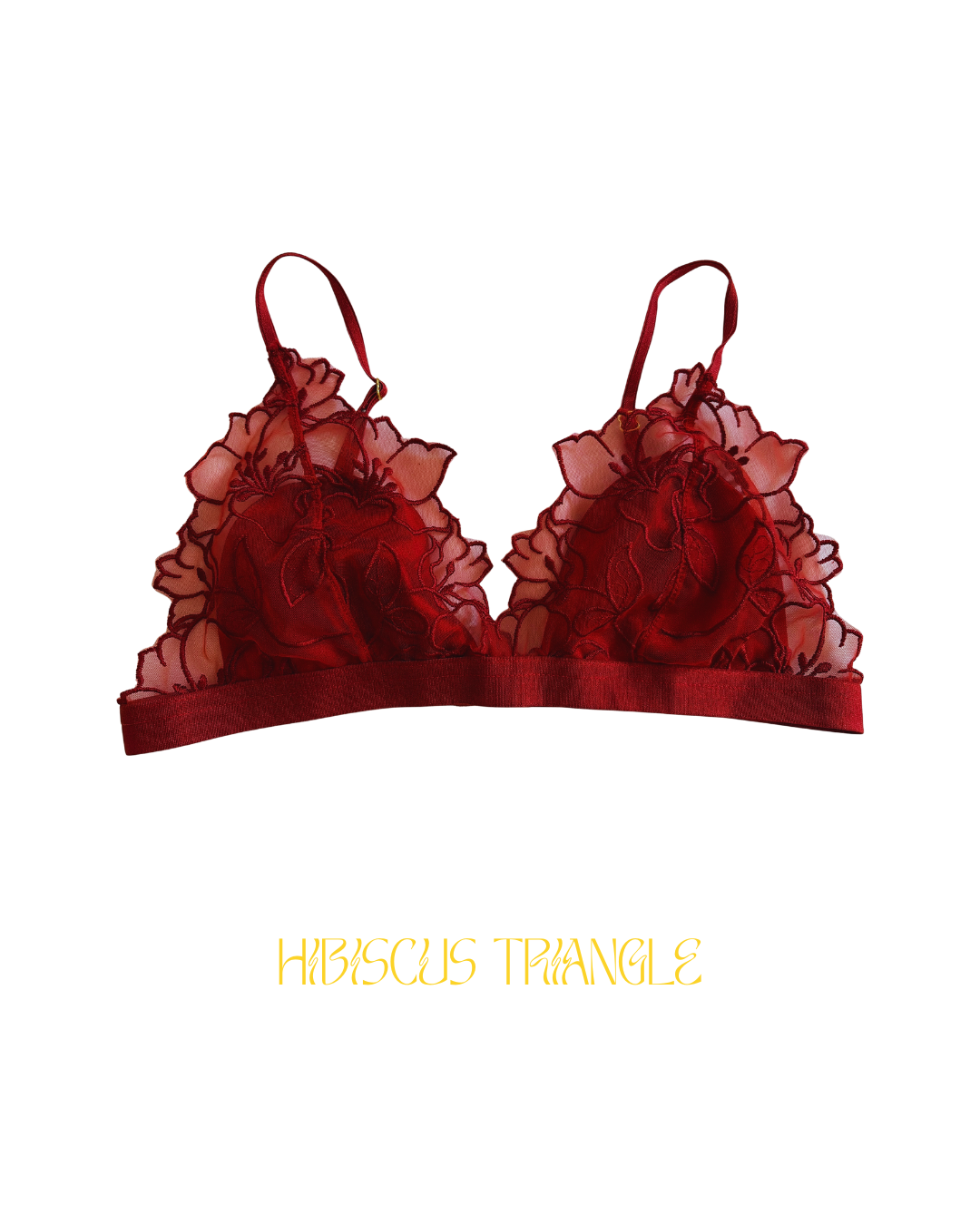 Ensemble HIBISCUS