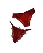 Ensemble HIBISCUS