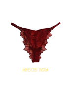 Ensemble HIBISCUS