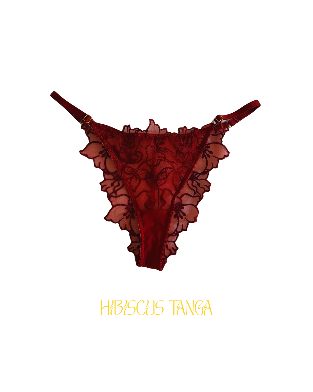 Ensemble HIBISCUS