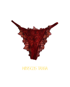 Ensemble HIBISCUS