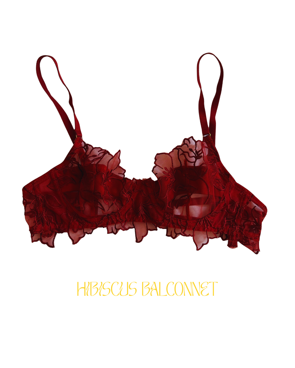 Ensemble HIBISCUS
