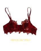 Ensemble HIBISCUS