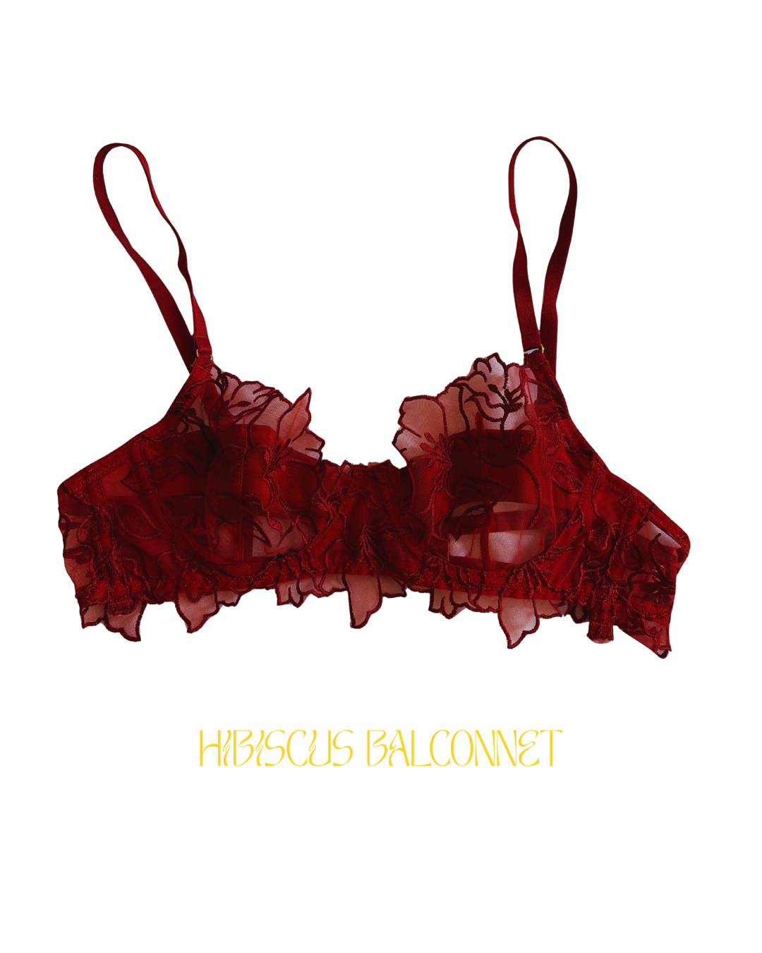 Ensemble HIBISCUS