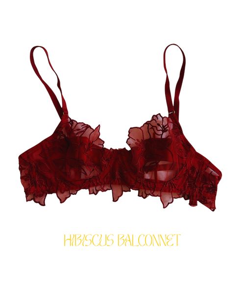 Ensemble HIBISCUS