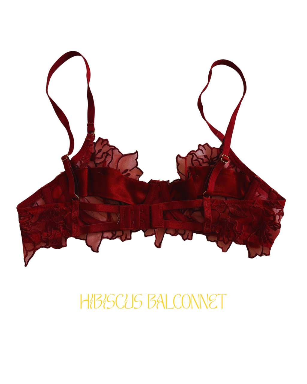 Ensemble HIBISCUS