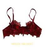 Ensemble HIBISCUS