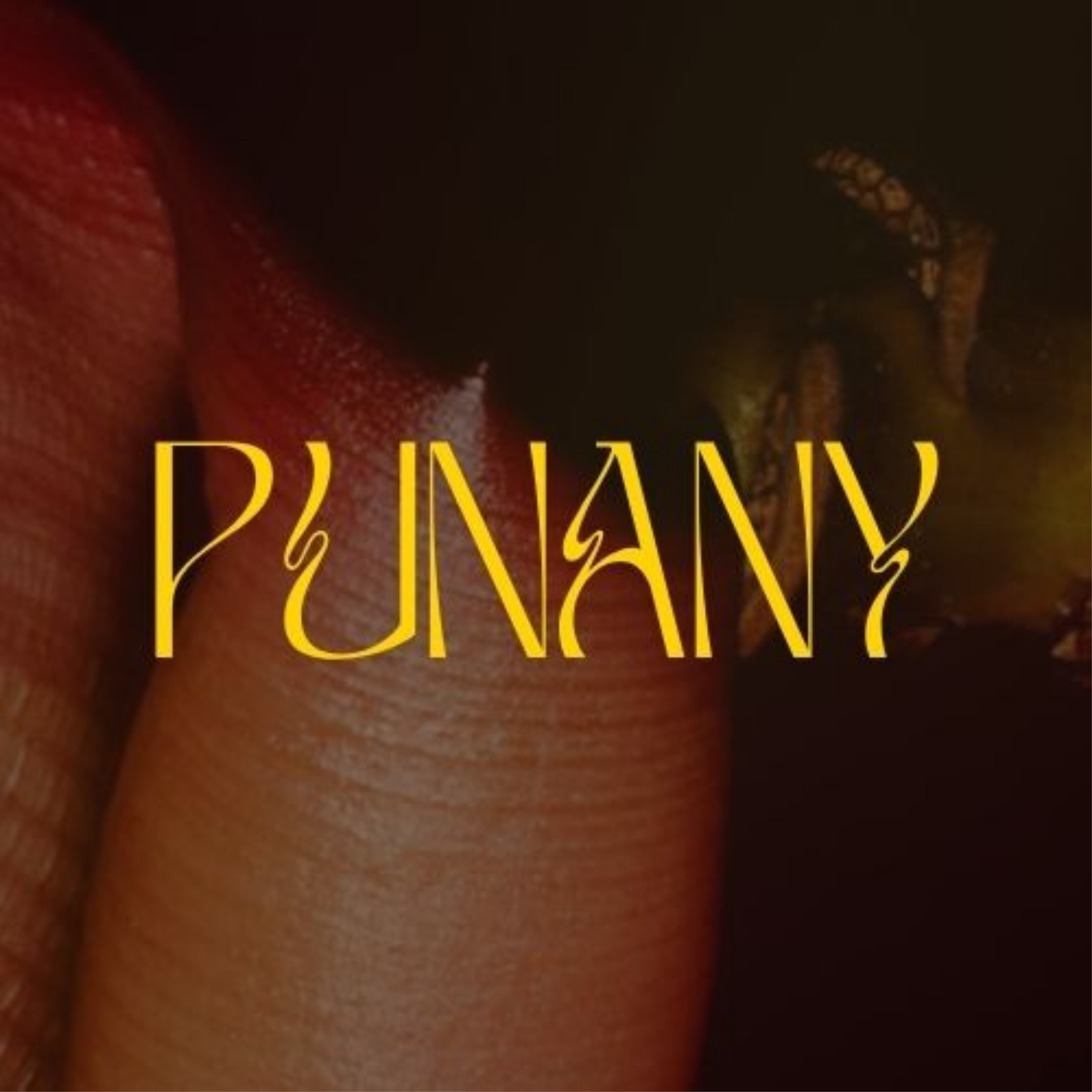 PUNANY