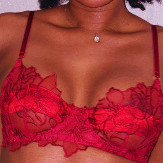 Ensemble HIBISCUS